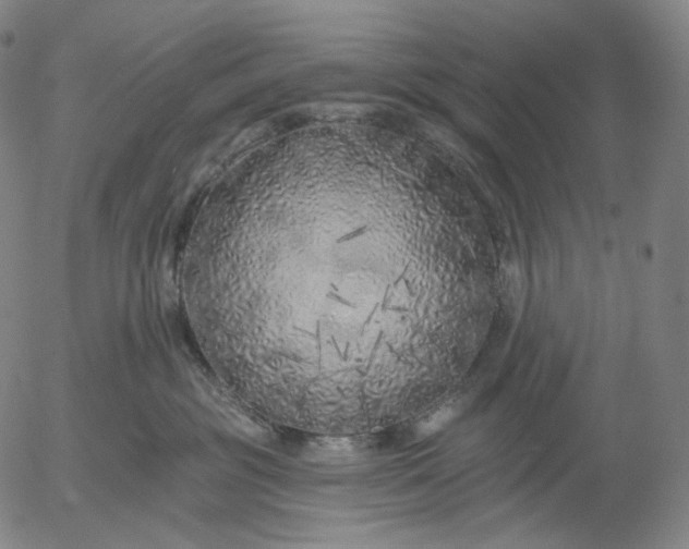 X0000055990381200509021644