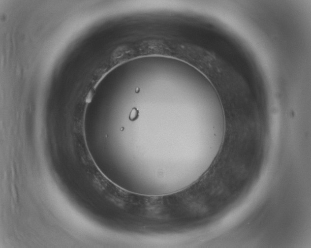 X0000055990382200509021645