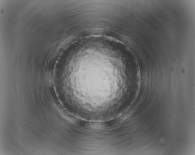 X0000055990383200509021645