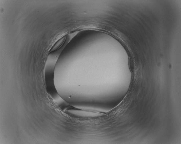 X0000055990385200509021644