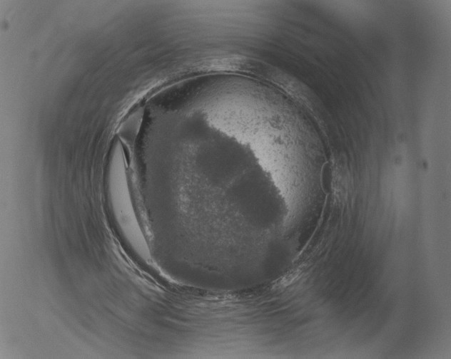 X0000055990386200509021644