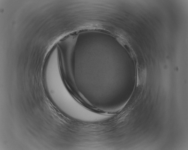 X0000055990387200509021644