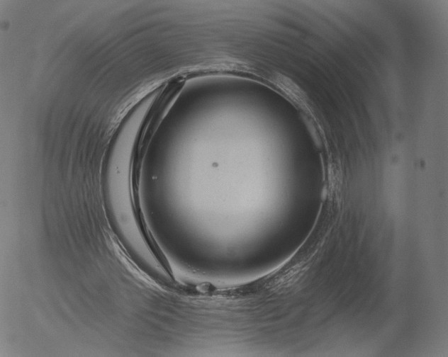 X0000055990389200509021644