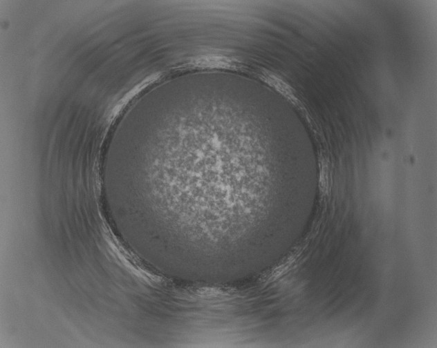 X0000055990390200509021644