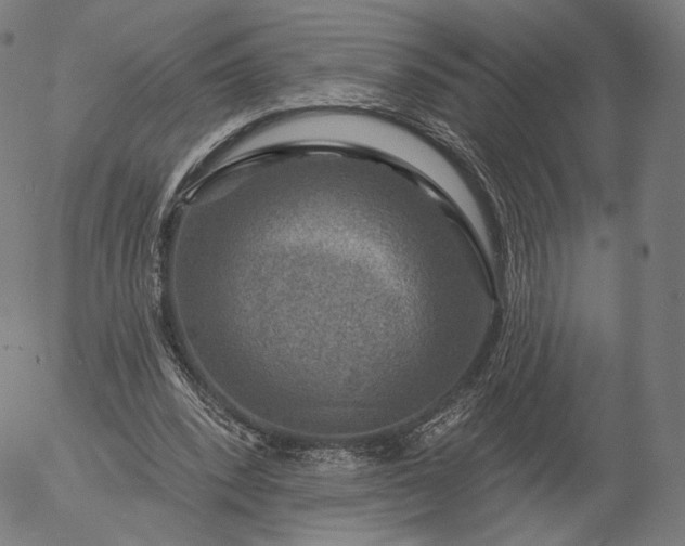 X0000055990392200509021644