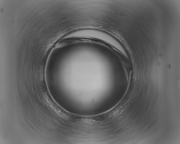 X0000055990393200509021644