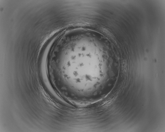 X0000055990395200509021644