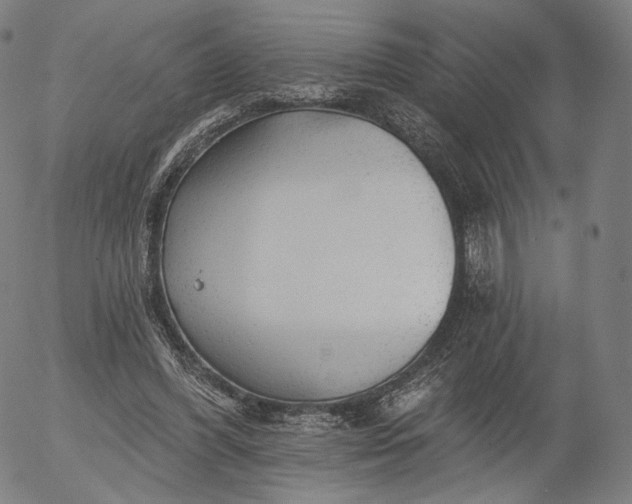 X0000055990396200509021644