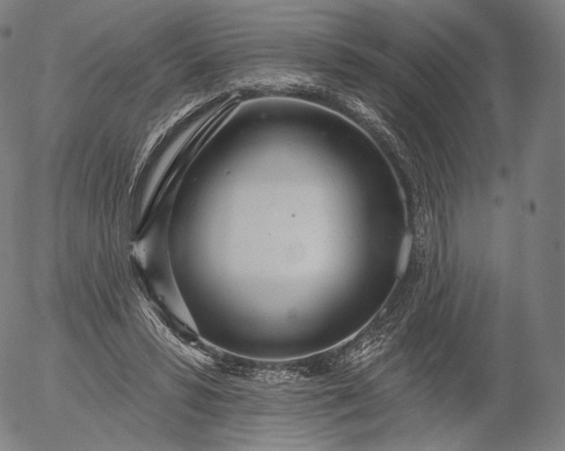 X0000055990399200509021644