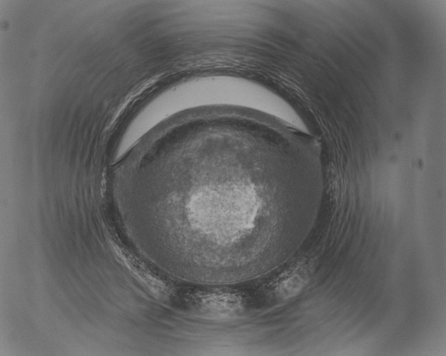 X0000055990400200509021643