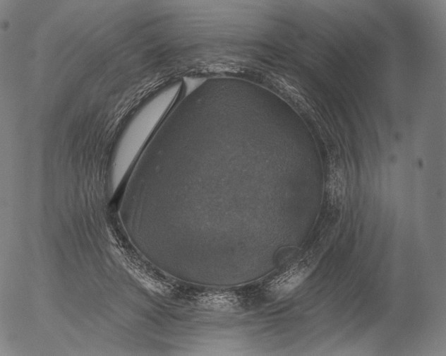 X0000055990402200509021643