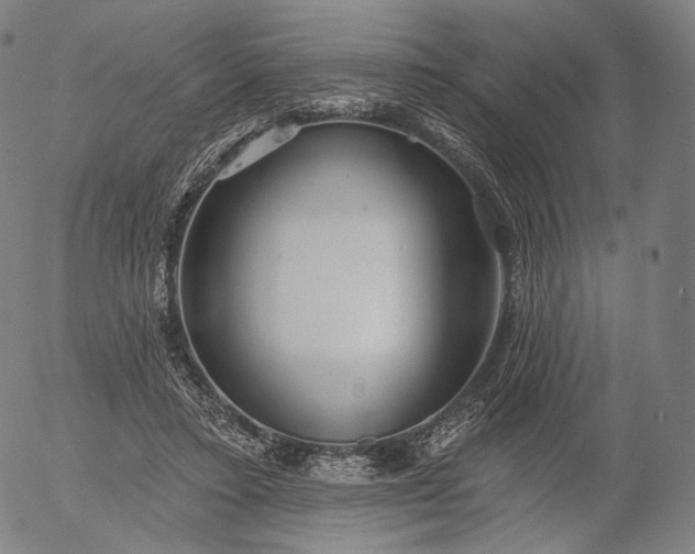 X0000055990403200509021643