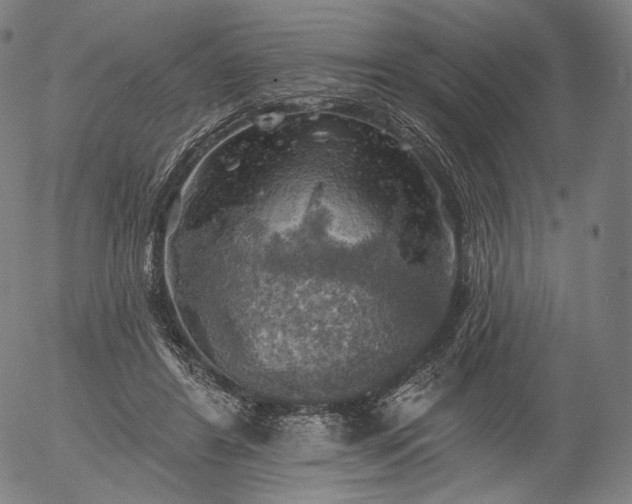 X0000055990404200509021643