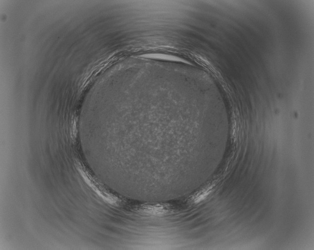 X0000055990405200509021643