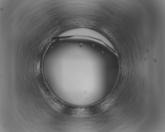 X0000055990406200509021643