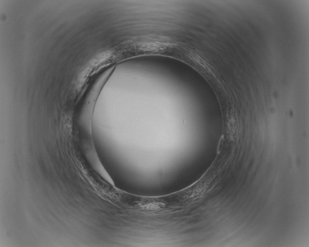 X0000055990407200509021643