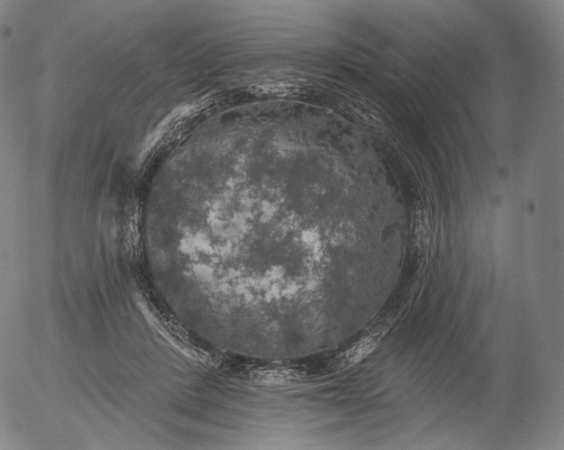 X0000055990408200509021643