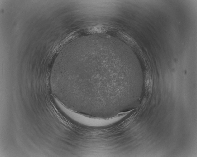 X0000055990409200509021643