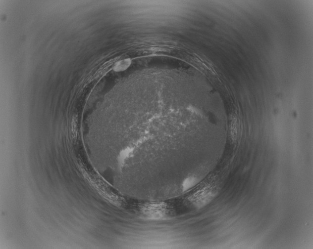 X0000055990410200509021643