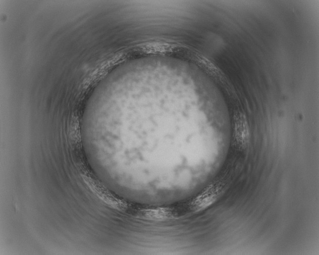 X0000055990411200509021643