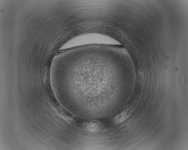 X0000055990412200509021643