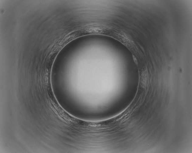 X0000055990413200509021643