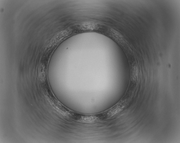 X0000055990414200509021643