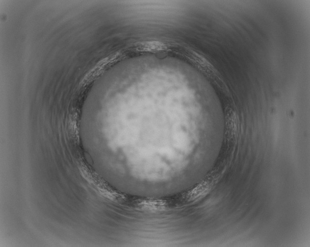 X0000055990415200509021643