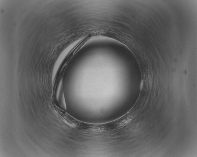 X0000055990416200509021643