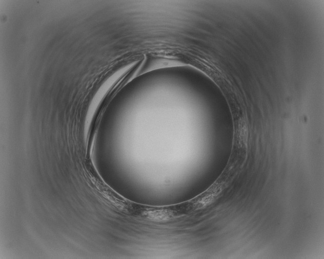 X0000055990417200509021643