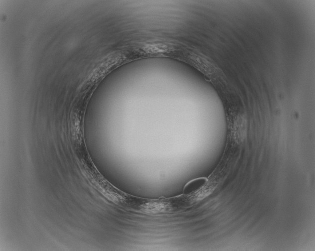 X0000055990418200509021643