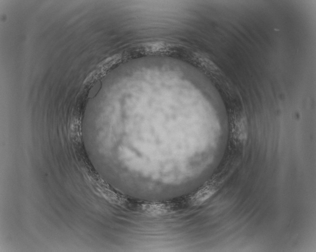 X0000055990419200509021643