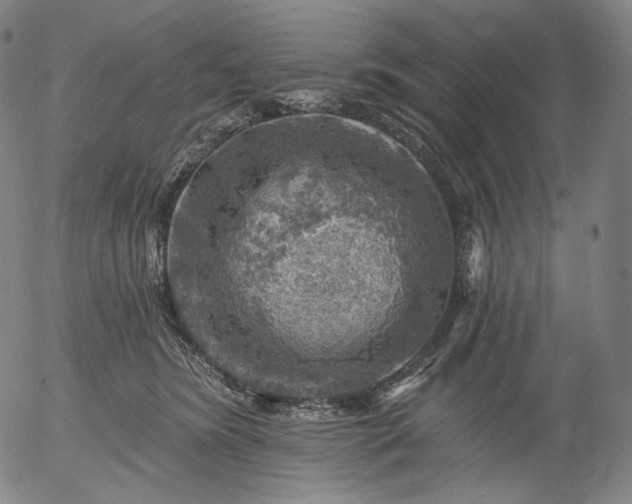 X0000055990420200509021643