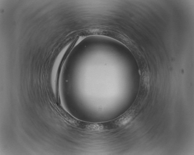 X0000055990421200509021643