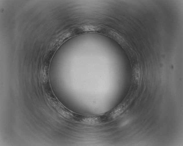 X0000055990422200509021643