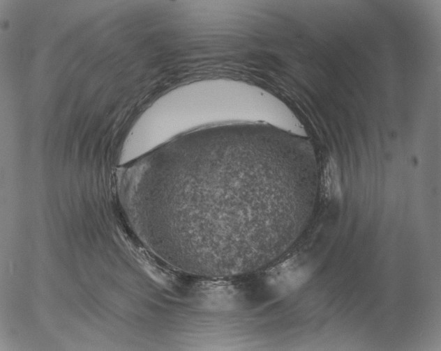 X0000055990424200509021643