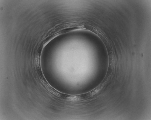 X0000055990425200509021643