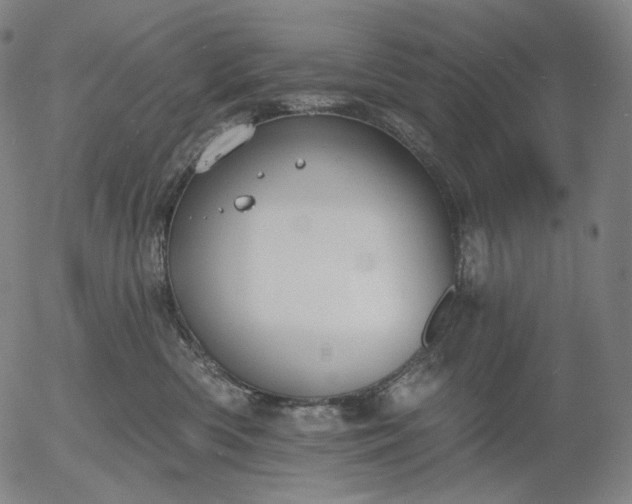 X0000055990426200509021643