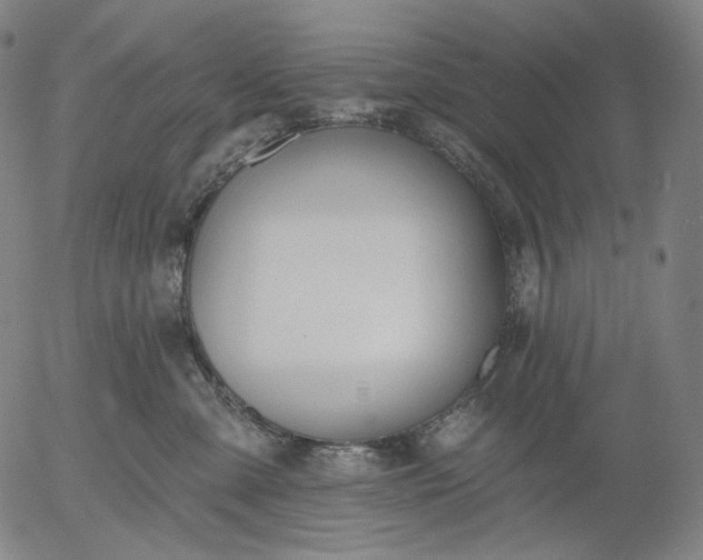 X0000055990427200509021643