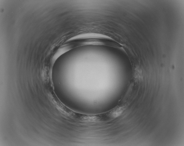 X0000055990428200509021643