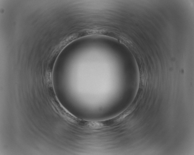 X0000055990429200509021643