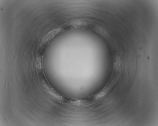 X0000055990430200509021643