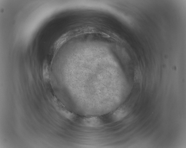 X0000055990431200509021643