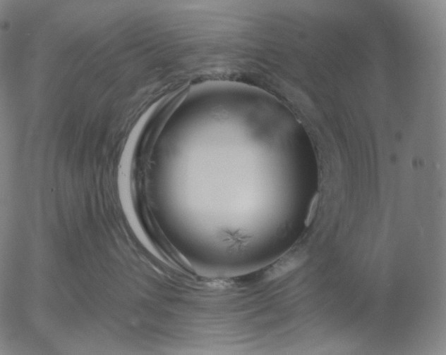 X0000055990432200509021643