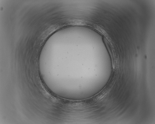 X0000055990433200509021642