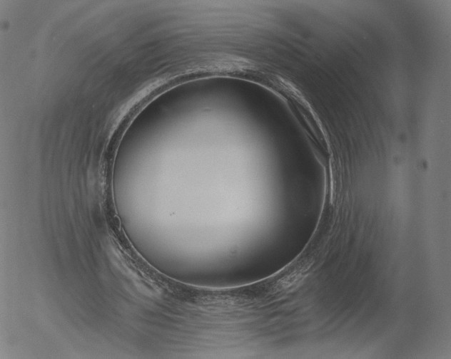 X0000055990435200509021642