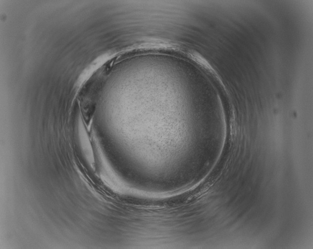 X0000055990436200509021642