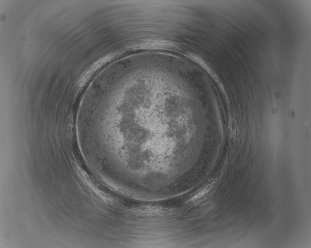 X0000055990437200509021642