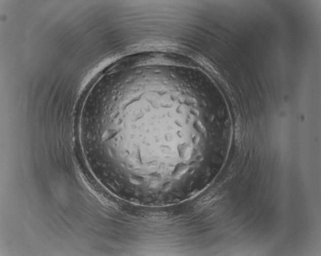 X0000055990438200509021642