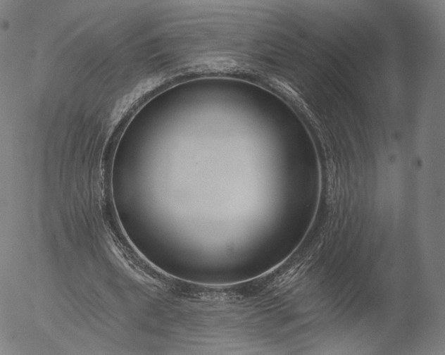 X0000055990439200509021642